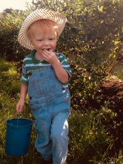 Welcome to Berkey's Blueberries: A Family Legacy of Organic Farming