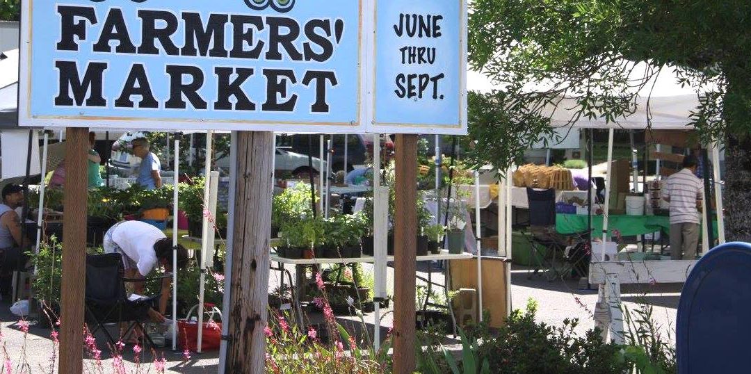 Sweet Home, Oregon’s Weekly Delight: Inside the Farmers’ Market