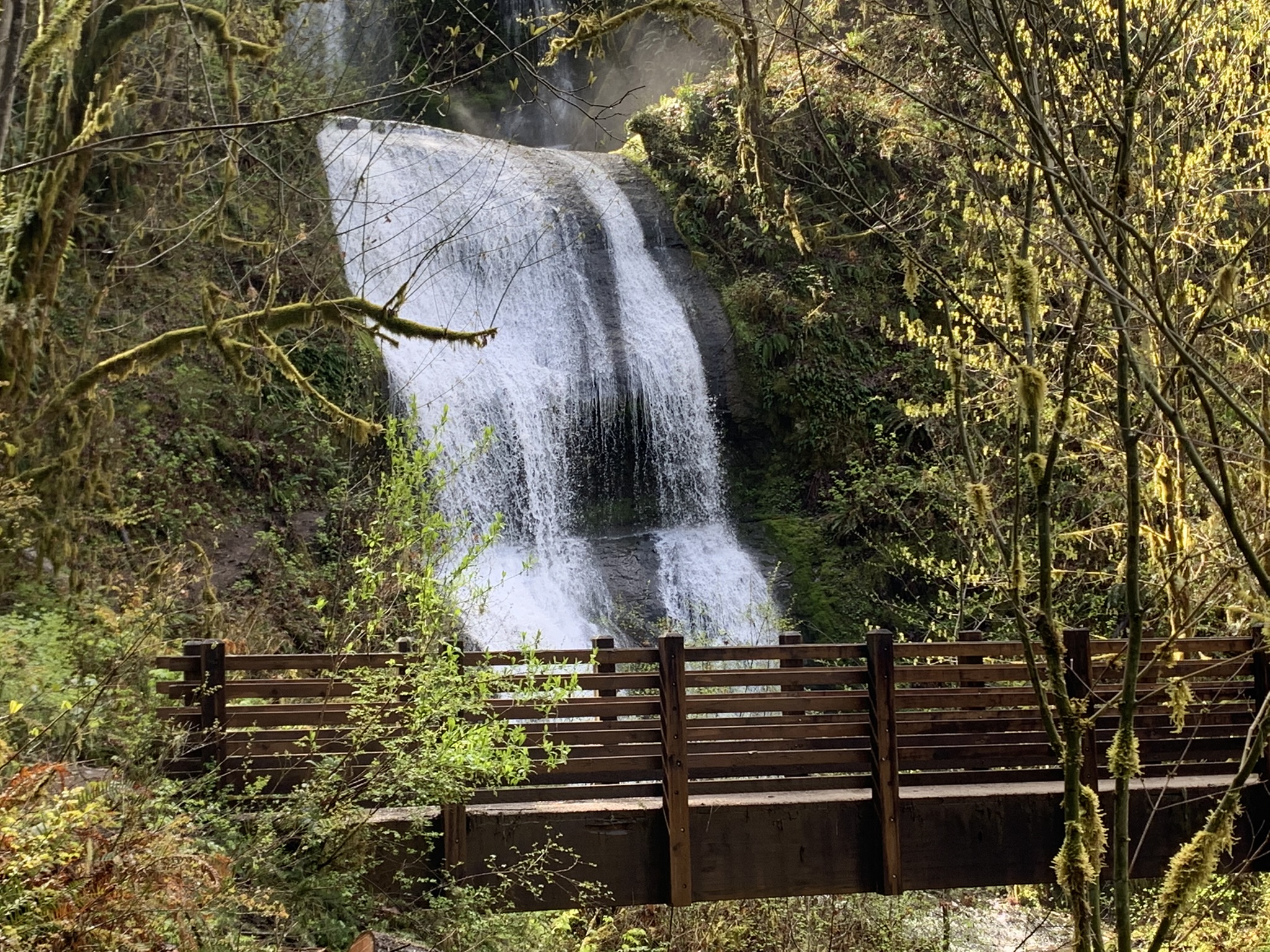 McDowell Creek Falls in Lebanon, OR