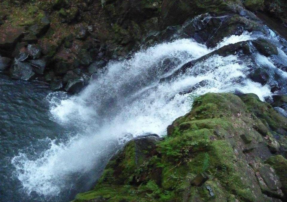 Hiking and Fishing at McDowell Creek Falls: A Nature Lover’s Paradise