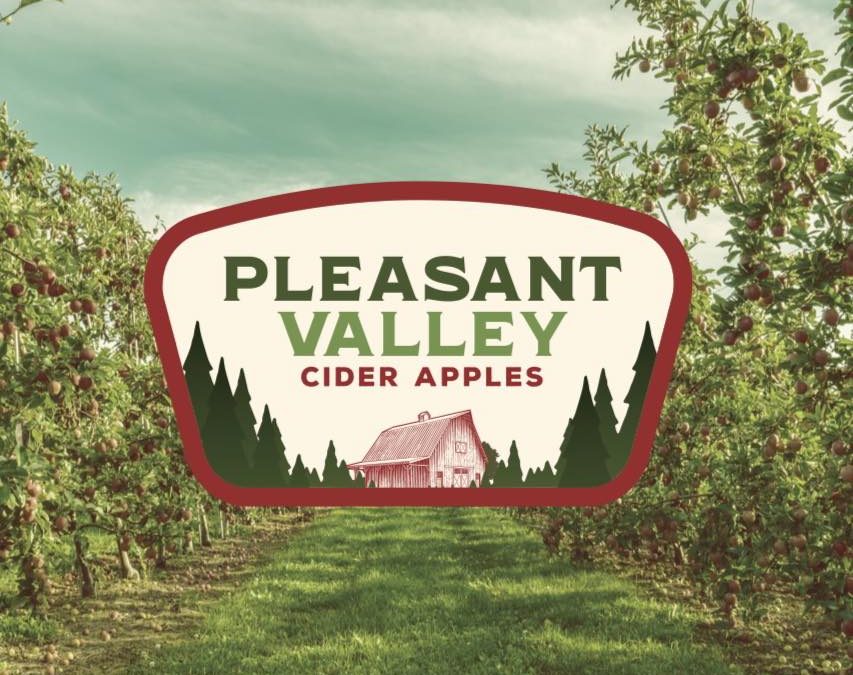 Exploring the Rich Flavors of Pleasant Valley Cider Apples: A Sweet Home Treasure